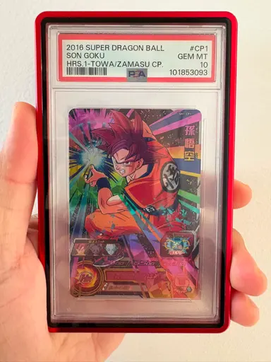 KO Ken Goku