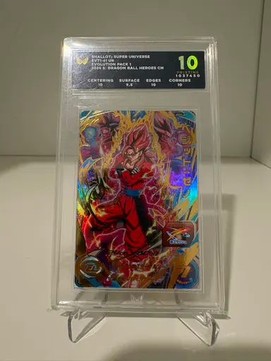 Shallot Super Universe